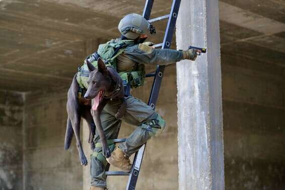 צילום: אורן כהן